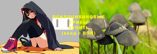 спиды Аркадак