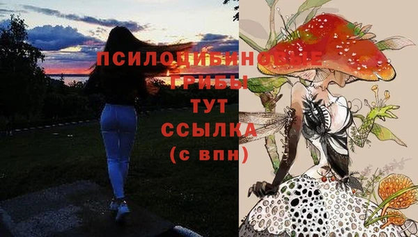 спиды Аркадак