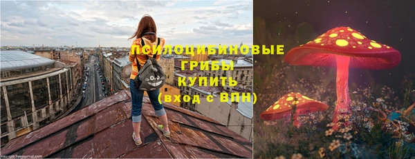 хмурый Покров