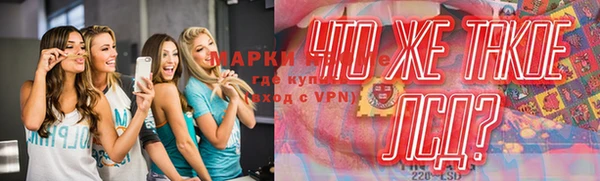 спиды Аркадак