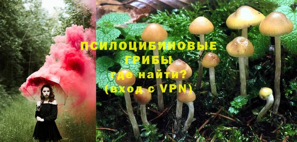 спиды Аркадак