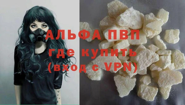 спиды Аркадак