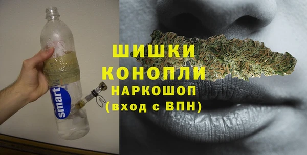 гидра Армянск