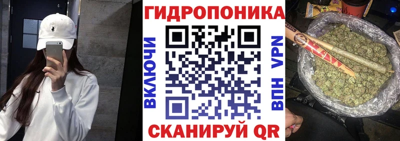 Шишки марихуана семена  где купить наркоту  Бирюсинск 